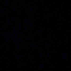 Meet your Posher, Lilly